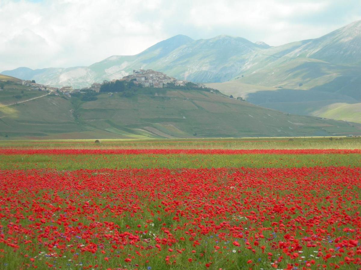 Umbria Valnerina In Noble Near Spoleto X 4-6 Persons Holiday home Sant'Anatolia di Narco