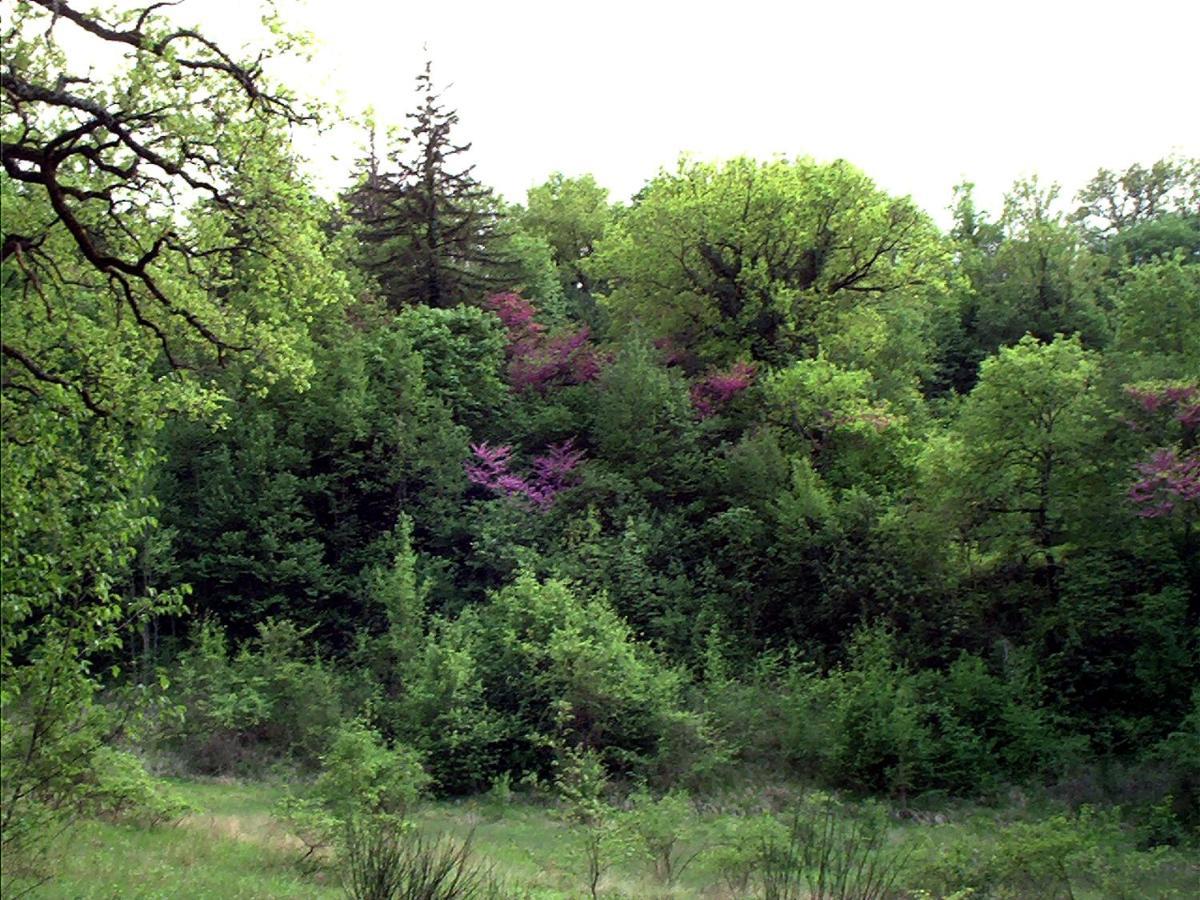 Umbria Valnerina In Noble Near Spoleto X 4-6 Persons * Sant'Anatolia di Narco