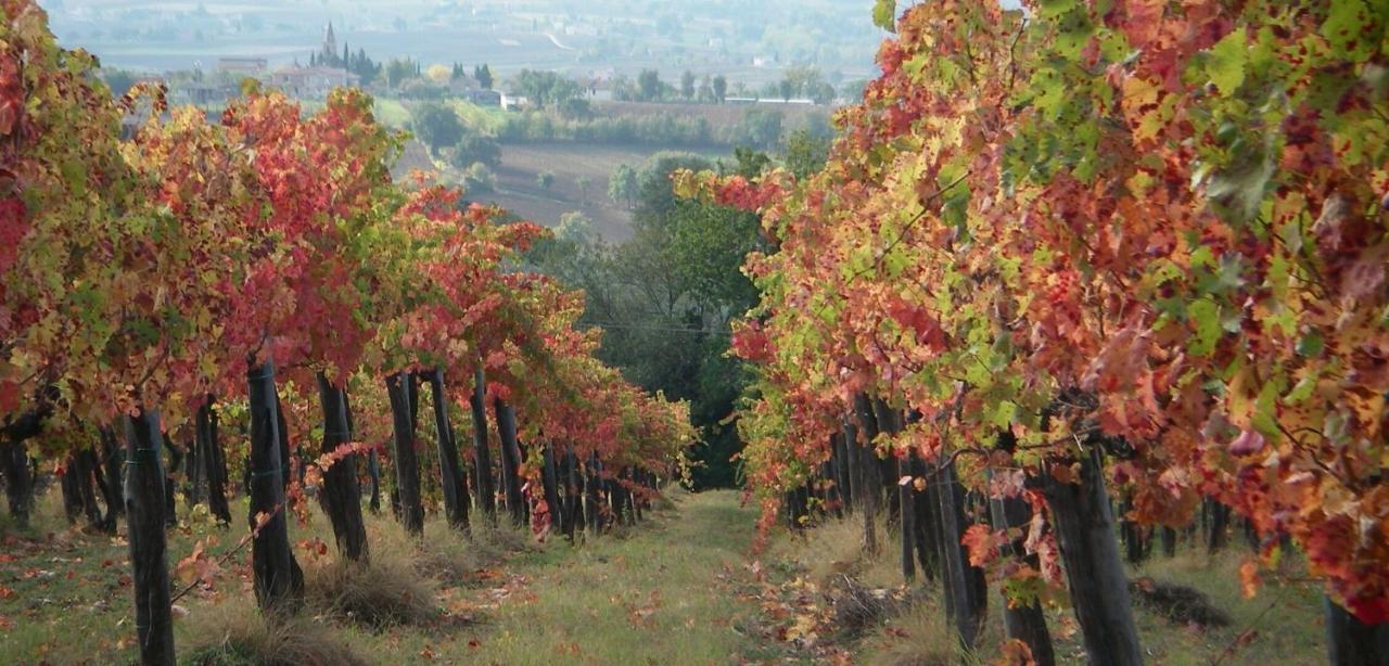 Umbria Valnerina In Noble Near Spoleto X 4-6 Persons *
