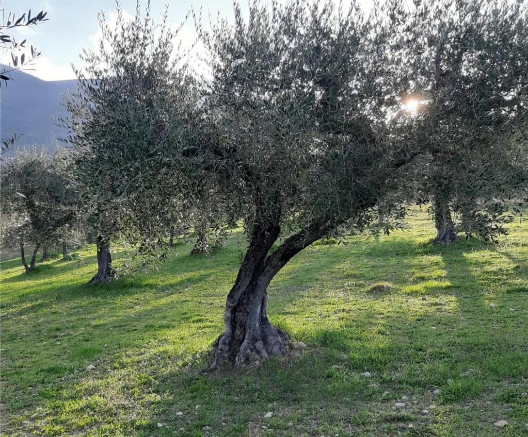 Umbria Valnerina In Noble Near Spoleto X 4-6 Persons *